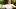 News Qigong Claraspital Contentimage